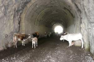 Xtrallusion photo library of independent, self-guided walking and sightseeing holidays in Italy. Pictures, images, photos and photographs taken along the way of this 1-day walking itinerary, to give you a visual impression of the day's walk.